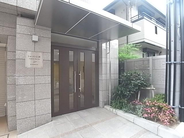 ショーソン上沢