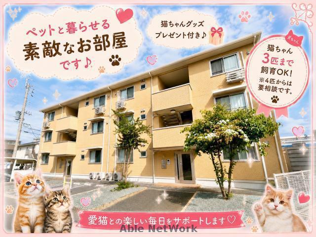 ソレイユ エトワール