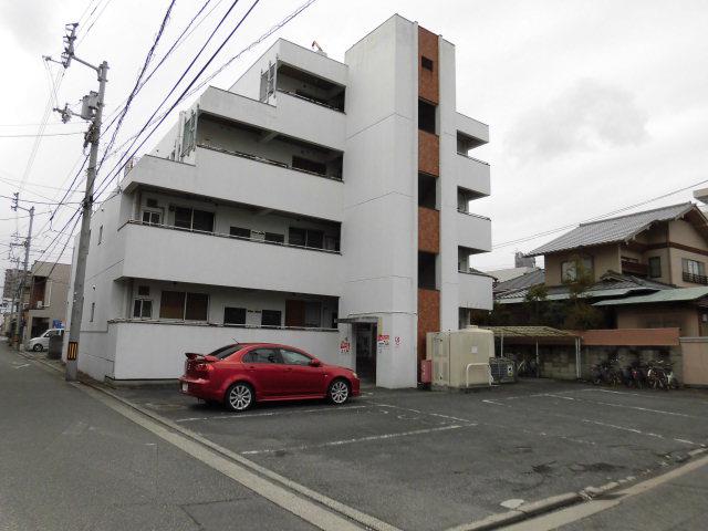 ドルフィン藤塚