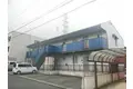 タゥニイ花房