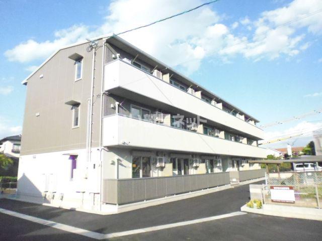 プリムローズ