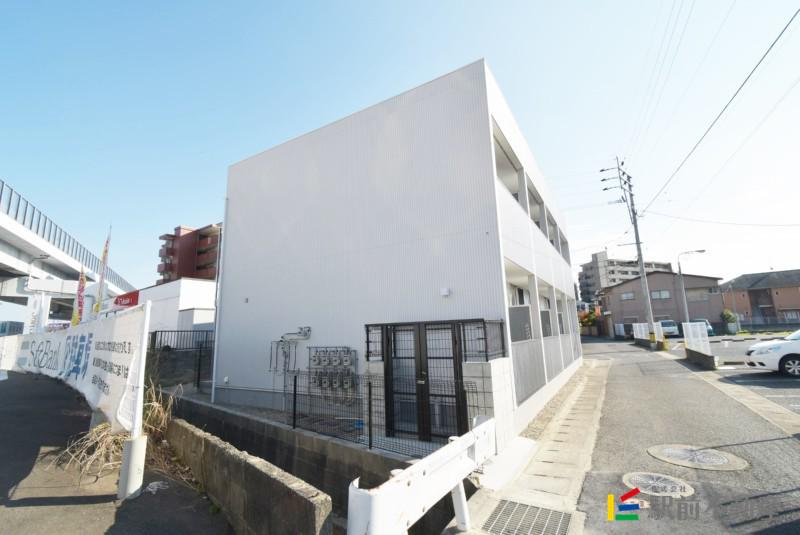 CASAMENT SCOLO