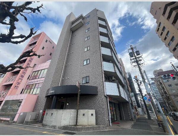 サンライズ新金山(1K/5階)