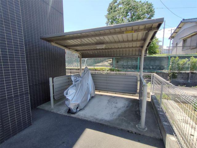 コスモス