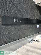POLAIRE