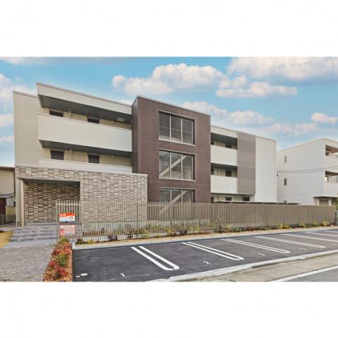 セル柳原