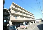 サンライズ新名爪