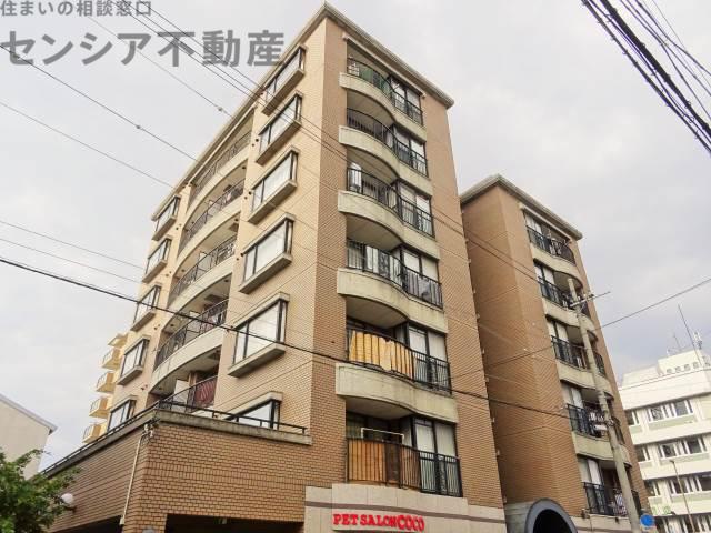 セレノナカザワ