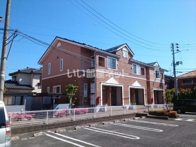 カメリアコートD