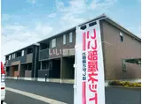 コンフォルターブルA