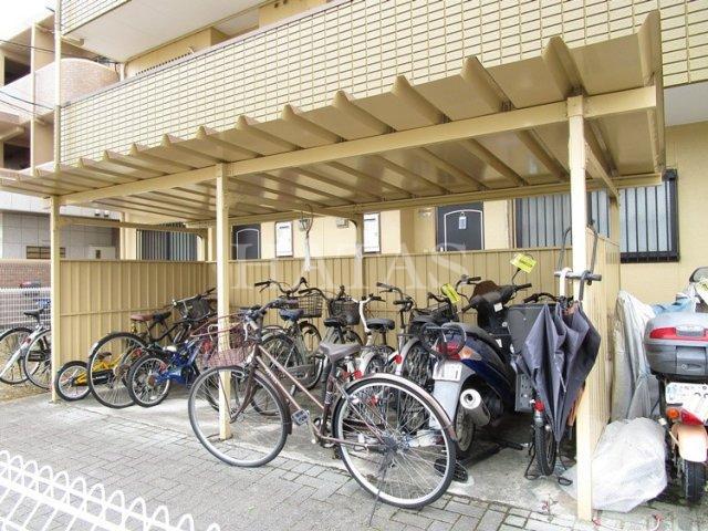 リプルイワツキ