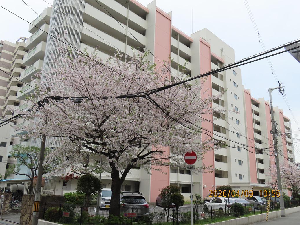 桜川グリーンコーポラス