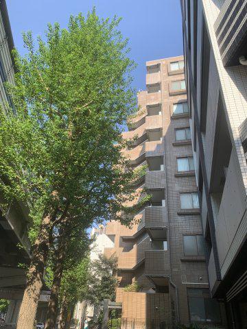 マイネカステル