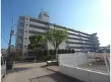 サーパス楽々園