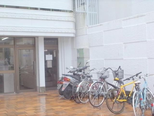 ニューホワイト