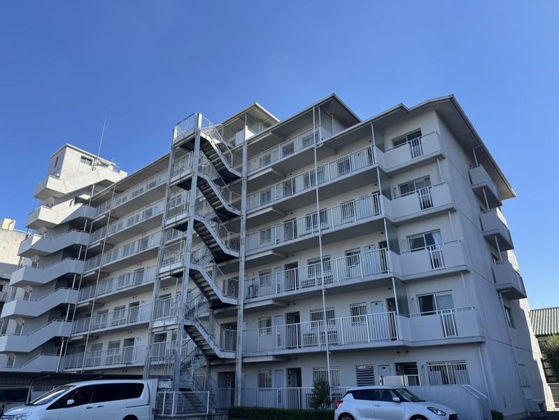 テルツォ南新在家(3LDK/5階)