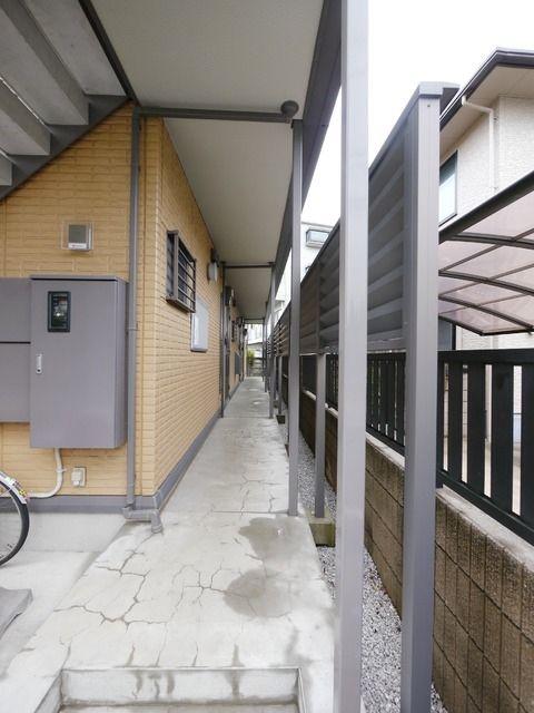 アンフラーゼ 