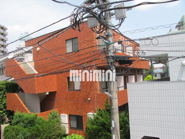 モンステラ登戸