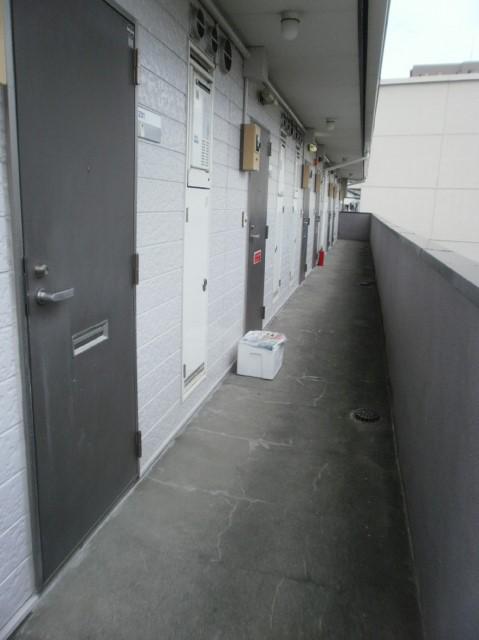 コア下土狩