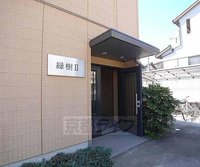 緑樹II