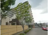 エンゼルサンプレージ吉川