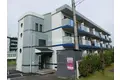 サンライズマゼミ