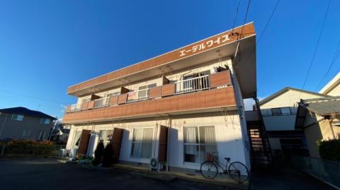 エーデルワイス