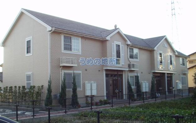 ライジングサン山ノ上