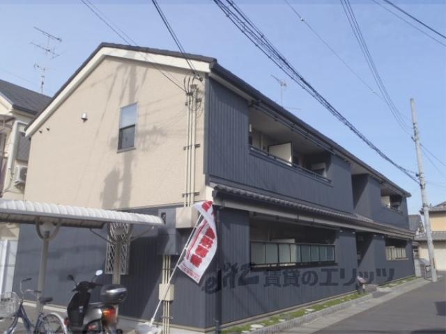 ジュネス モデルヌ