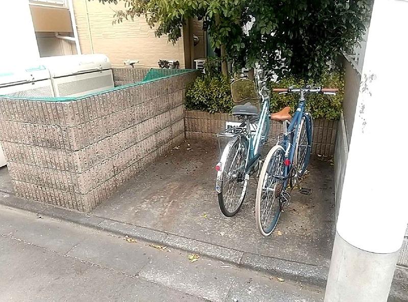 サンシン
