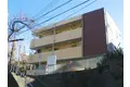 プラムツリーガーデン