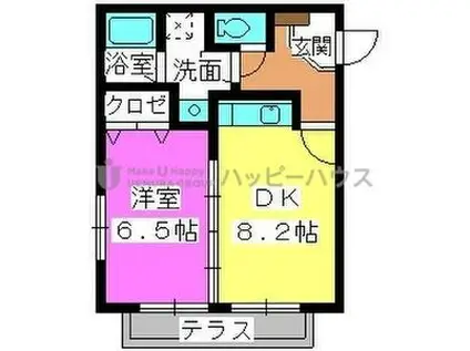 サニープレイスIII(1LDK/1階)の間取り写真