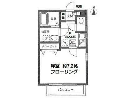 ラピスコート菊名(1K/1階)の間取り写真