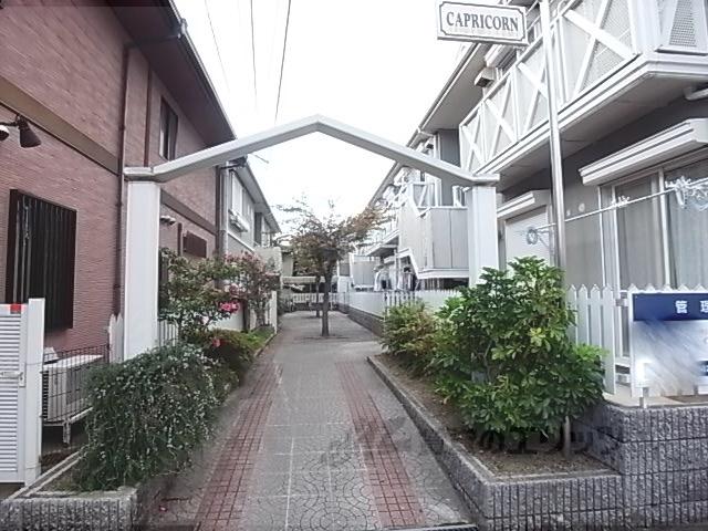 カプリコーン