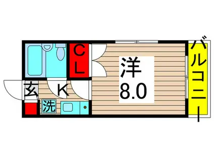 フラワーシティー亀有(1K/3階)の間取り写真