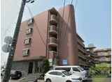 F・シャルマン