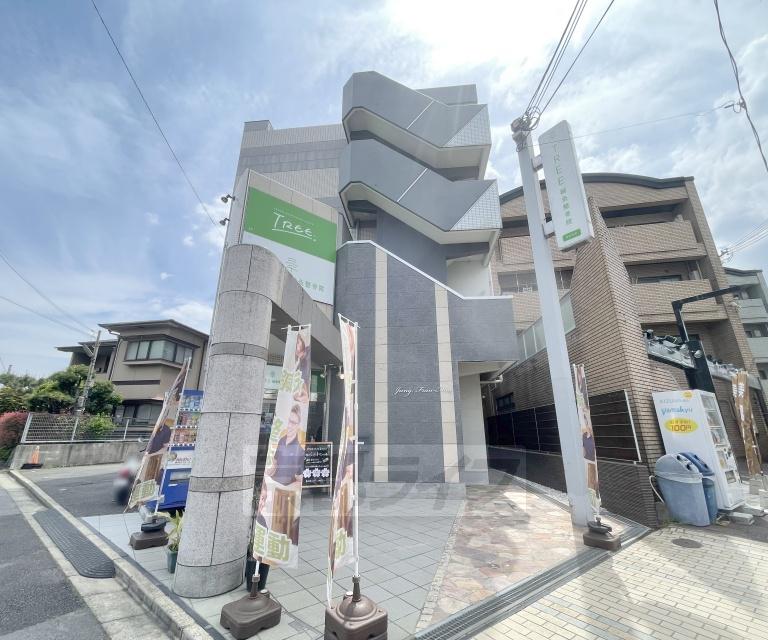 ユングフラウマイ