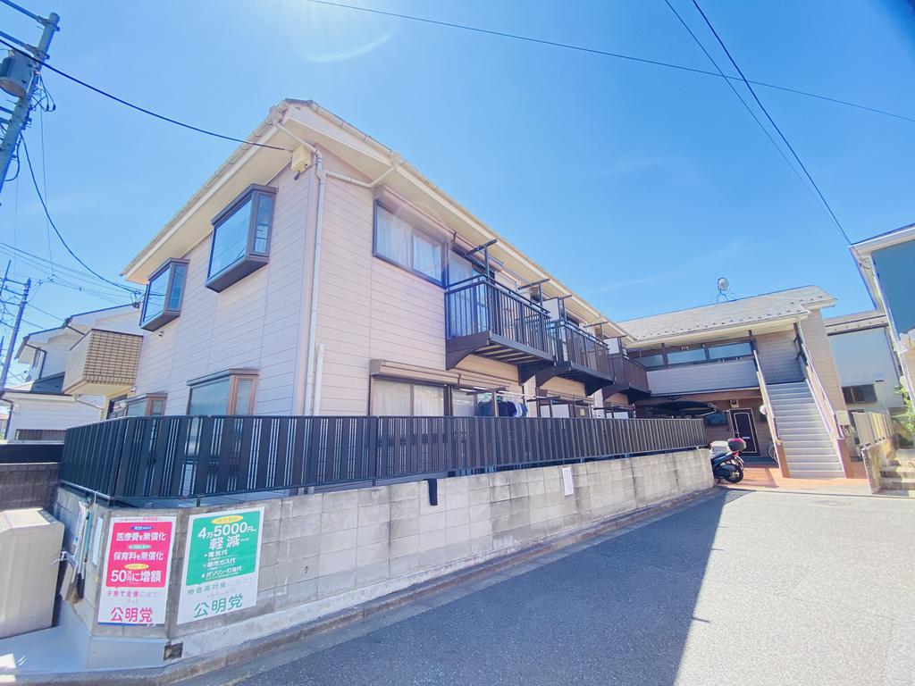 マツノキ30