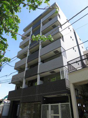 HYS YOKOHAMA LIGARE