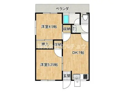 コーポそら(2DK/1階)の間取り写真