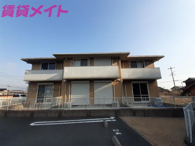 ミズキ B