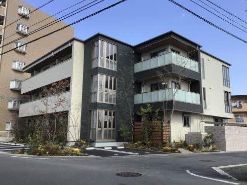 ベレオ豊成