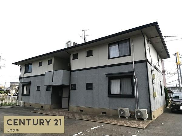 ハイカムール麻美B