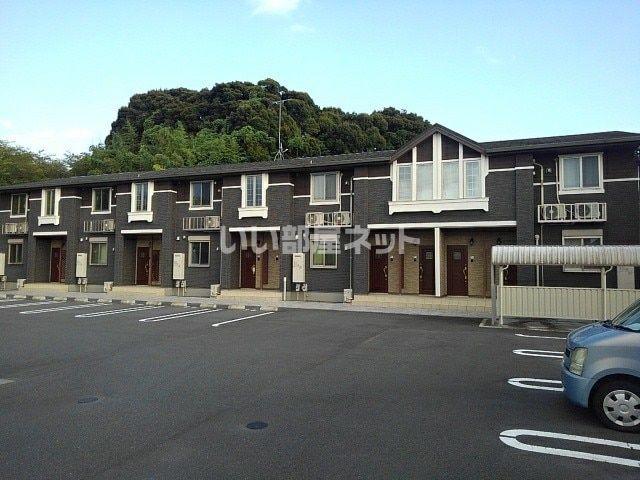 カンパニュール B
