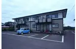 ステラ猪野