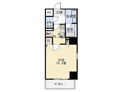 プレミアムサウスプレイス(1K/5階)の間取り写真