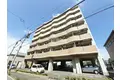 エヴァーグリーンM