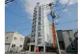 コスモス菊水