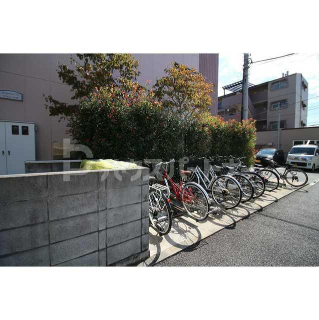 アンプルール フェール リリエンハイムII