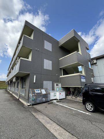 ウィーンズ牛島